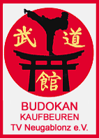 Budokan12
